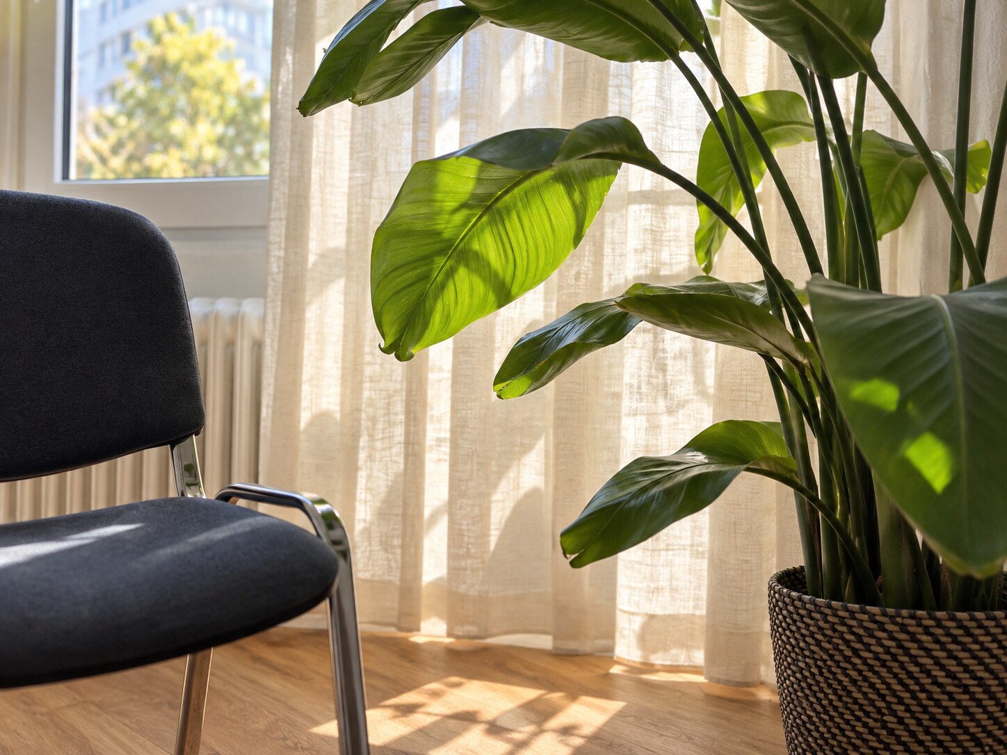 Therapieraum mit Sesseln und Teppich